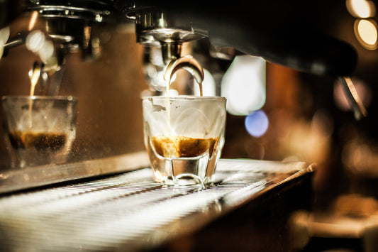 A Day in the Life of a Barista: Behind the Counter Stories Nov ‘25