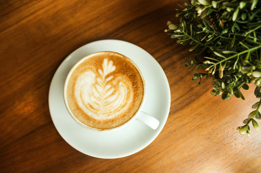 A Day in the Life of a Barista: Behind the Counter Stories Feb ‘26
