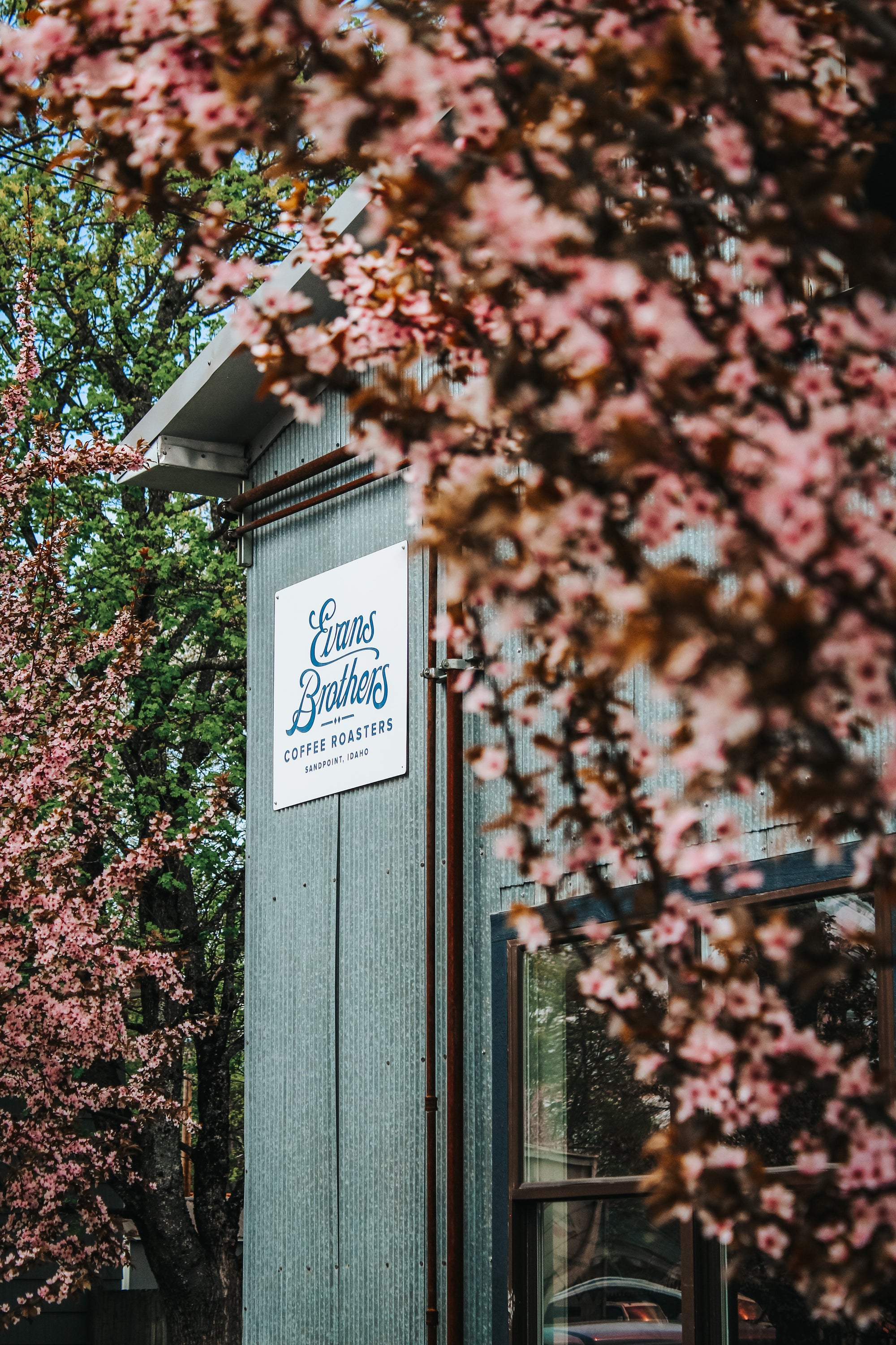 The Evans Brothers Coffee Roasters sign on the Sandpoint café building